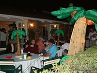 Palm trees during Surf 'N' Safari '04 (Photo by Rainer Mueller)