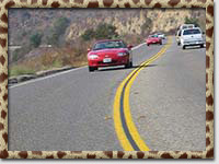 Driving fun during Surf'N'Safari '04 (Photo by Mark Booth)