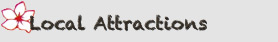 Local Attractions
